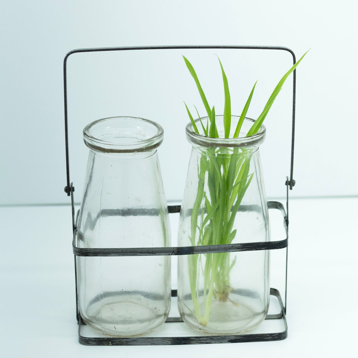 Vintage Glass Vase with Holder