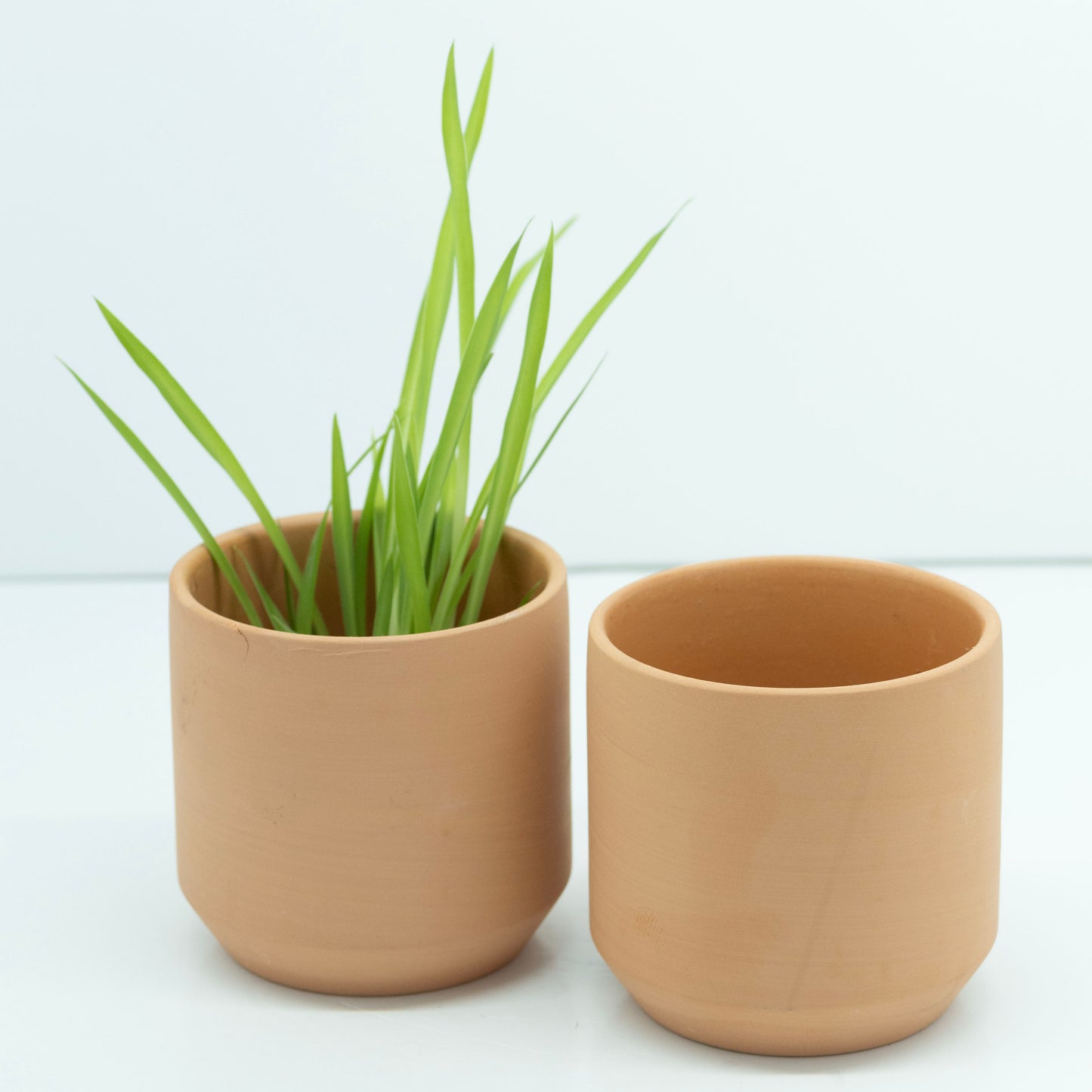 Terracotta Herb Pots