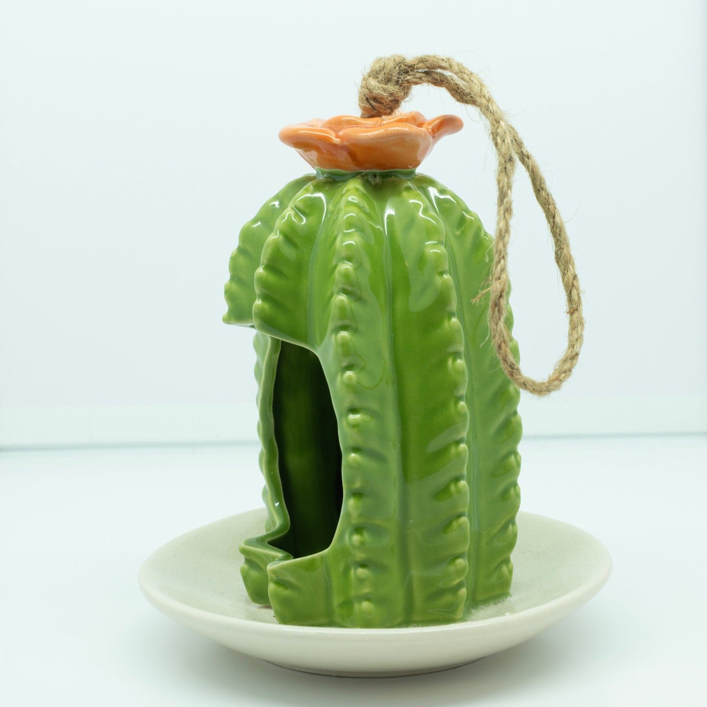 Cactus Bird Feeder