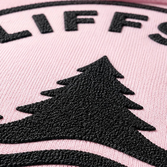 Cliffside Toronto Pink Hoodie