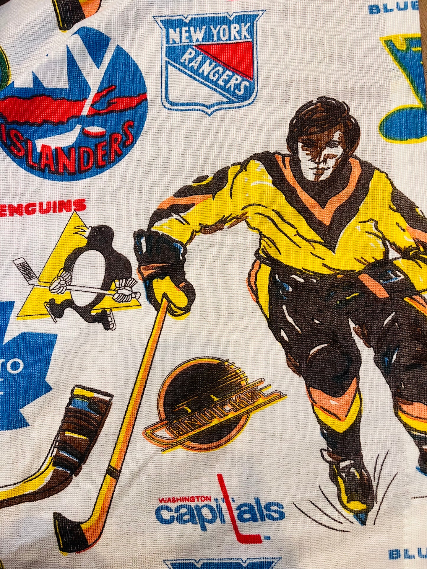 Vintage 1970's NHL Hockey Curtains (2 panels)