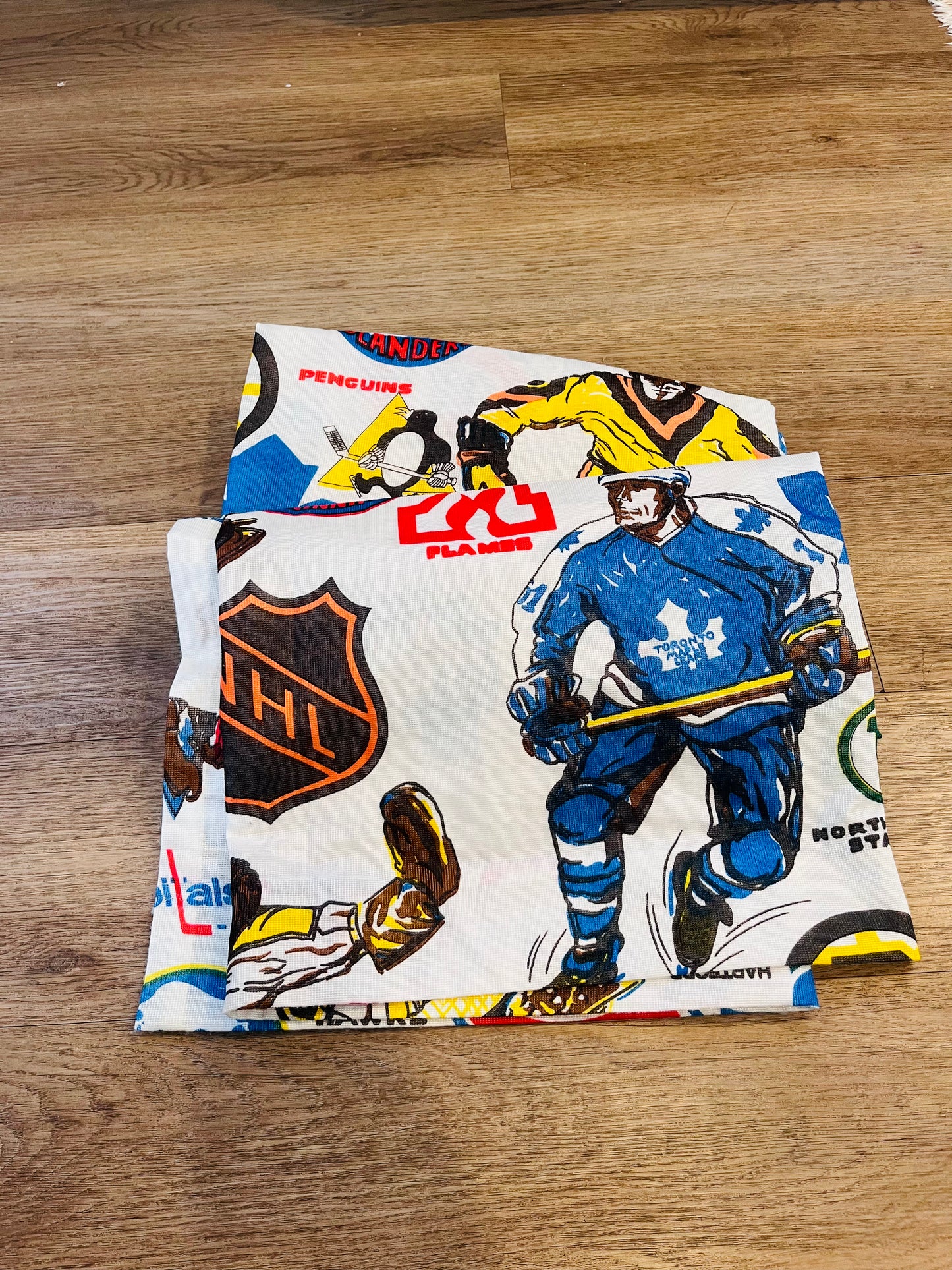 Vintage 1970's NHL Hockey Curtains (2 panels)
