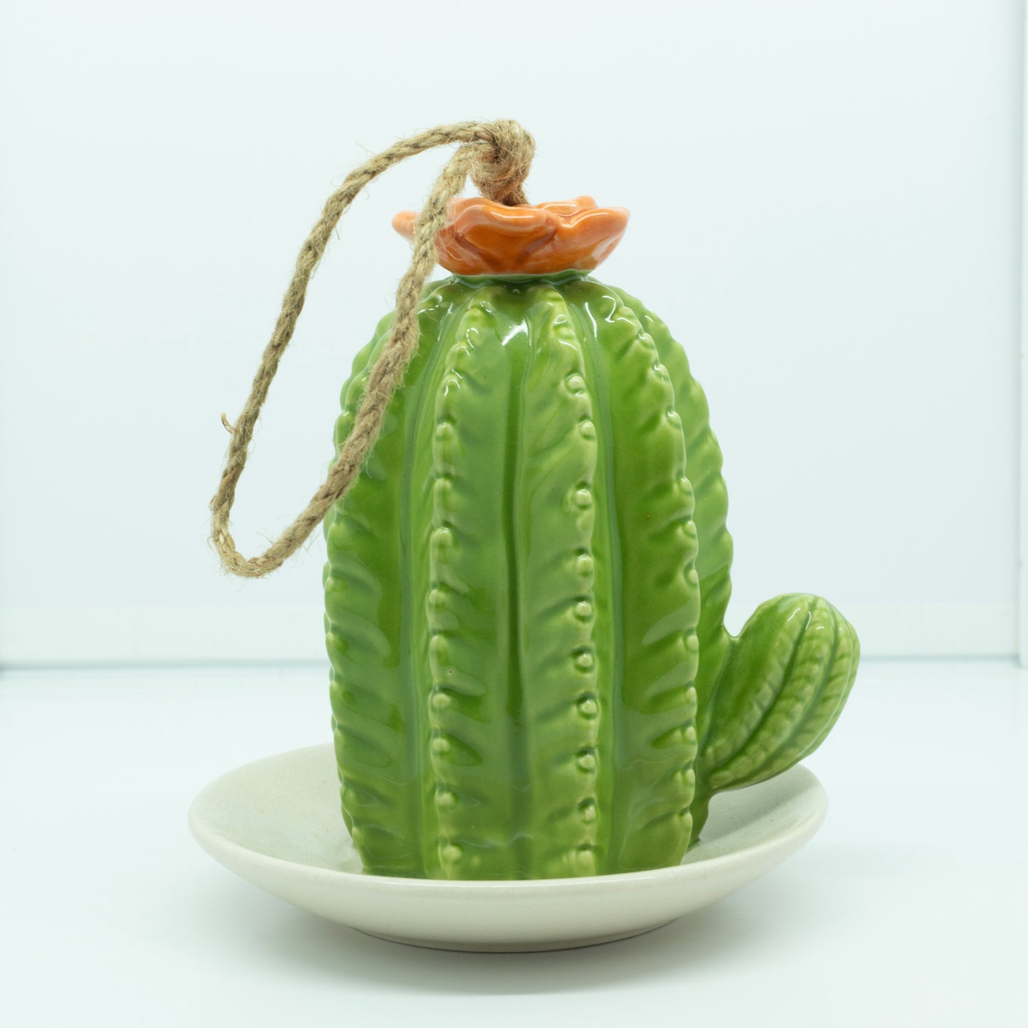 Cactus Bird Feeder